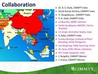 Collaboration  Dr. B. S. Vivek, CIMMYT-India
 Girish Kumar Krishna, CIMMYT-India
 V. Vengadessan , CIMMYT-India
 P. H. Zaidi, CIMMYT-India
 Le Quy Kha, NMRI, Vietnam
 Pichet Grudloyma, NSFCRC, Tak Fa,
Thailand
 I.S. Singh, Krishidhan Seeds, India
 R. Babu, CIMMYT-India
 Eureka Ocampo, Institute of Plant
Breeding, UPLB, Philippines
 Fan Xingming, YAAS, Kunming, China
 M. Azrai, ICERI, Maros, Indonesia
 R.P. Singh, Syngenta, India
 J. Burgeño, CIMMYT-Mexico
 J. Crossa, CIMMYT-Mexico
 