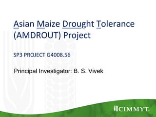 Asian Maize Drought Tolerance
(AMDROUT) Project
SP3 PROJECT G4008.56
Principal Investigator: B. S. Vivek
 