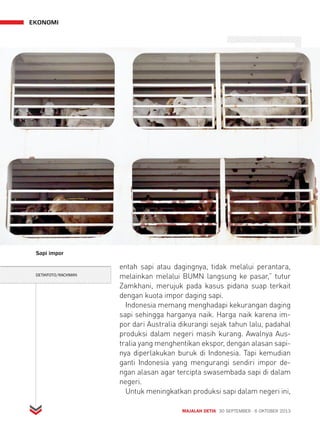 MAJALAH DETIK 30 SEPTEMBER - 6 OKTOBER 2013 
EKONOMI 
entah sapi atau dagingnya, tidak melalui perantara, 
melainkan melalui BUMN langsung ke pasar,” tutur 
Zamkhani, merujuk pada kasus pidana suap terkait 
dengan kuota impor daging sapi. 
Indonesia memang menghadapi kekurangan daging 
sapi sehingga harganya naik. Harga naik karena im-por 
dari Australia dikurangi sejak tahun lalu, padahal 
produksi dalam negeri masih kurang. Awalnya Aus-tralia 
yang menghentikan ekspor, dengan alasan sapi-nya 
diperlakukan buruk di Indonesia. Tapi kemudian 
ganti Indonesia yang mengurangi sendiri impor de-ngan 
alasan agar tercipta swasembada sapi di dalam 
negeri. 
Untuk meningkatkan produksi sapi dalam negeri ini, 
Sapi impor 
DETIKFOTO/RACHMAN 
 