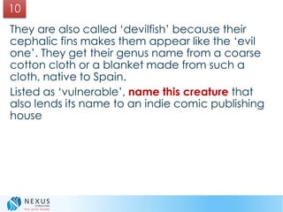 They are also called ‘devilfish’ because their
cephalic fins makes them appear like the ‘evil
one’. They get their genus name from a coarse
cotton cloth or a blanket made from such a
cloth, native to Spain.
Listed as ‘vulnerable’, name this creature that
also lends its name to an indie comic publishing
house
10
 