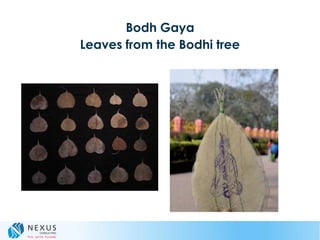 Bodh Gaya
Leaves from the Bodhi tree
 