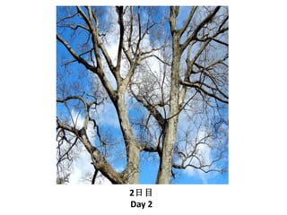2日目
Day 2
 