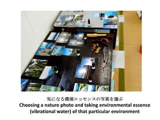 気になる環境エッセンスの写真を選ぶ
Choosing a nature photo and taking environmental essence
    (vibrational water) of that particular environment
 