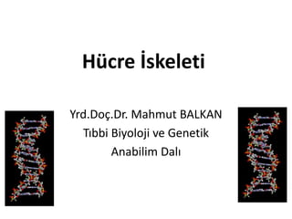 Hücre İskeleti
Yrd.Doç.Dr. Mahmut BALKAN
Tıbbi Biyoloji ve Genetik
Anabilim Dalı

 