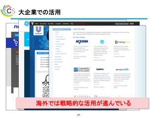 大企業での活用
21
海外では戦略的な活用が進んでいる
 