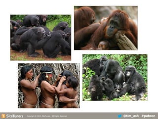 Copyright
Copyright © 2013, SiteTuners - All Rights Reserved. © 2012, SiteTuners- All Rights Reserved.

@tim_ash #pubcon

 