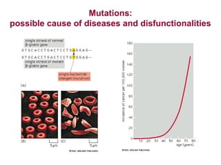 Mutations:
possible cause of diseases and disfunctionalities

 