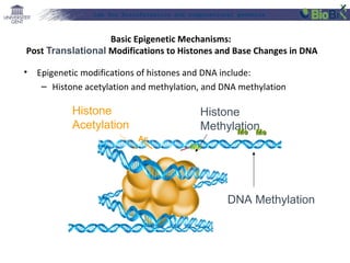 Lab for Bioinformatics and computational genomics

Basic Epigenetic Mechanisms:
Post Translational Modifications to Histones and Base Changes in DNA
•

Epigenetic modifications of histones and DNA include:
– Histone acetylation and methylation, and DNA methylation

Histone
Acetylation
Ac

Histone
Methylation
Me Me
Me

DNA Methylation

 