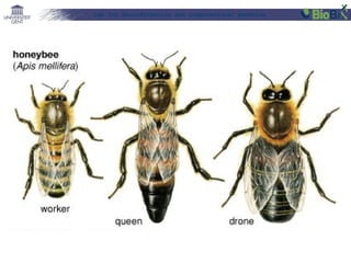 Lab for Bioinformatics and computational genomics

 