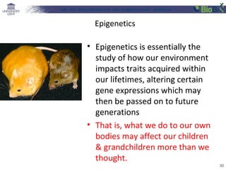 Lab for Bioinformatics and computational genomics

Epigenetics

• Epigenetics is essentially the
study of how our environment
impacts traits acquired within
our lifetimes, altering certain
gene expressions which may
then be passed on to future
generations
• That is, what we do to our own
bodies may affect our children
& grandchildren more than we
thought.
30

 