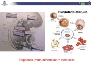 Lab for Bioinformatics and computational genomics

Epigenetic (meta)information = stem cells

 