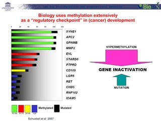 Lab for Bioinformatics and computational genomics

Biology uses methylation extensively
as a “regulatory checkpoint” in (cancer) development

Schuebel et al 2007

 
