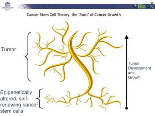 Lab for Bioinformatics and computational genomics

Cancer Stem Cell Theory: the ‘Root’ of Cancer Growth

Tumor
Tumor
Development
and
Growth

Epigenetically
altered, selfrenewing cancer
stem cells

 