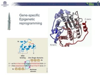 Lab for Bioinformatics and computational genomics

Gene-specific
Epigenetic
reprogramming

 