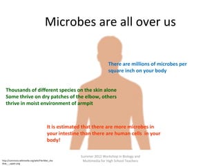 Microbes are all over us
There are millions of microbes per
square inch on your body
Thousands of different species on the skin alone
Some thrive on dry patches of the elbow, others
thrive in moist environment of armpit

It is estimated that there are more microbes in
your intestine than there are human cells in your
body!

http://commons.wikimedia.org/wiki/File:Man_sha
dow_-_upper.png

Summer 2012 Workshop in Biology and
Multimedia for High School Teachers

 