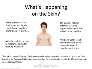 What’s Happening
on the Skin?
There are several skin
environments: oily, dry,
moist. Some microbes
prefer one over another.

The skin has natural
defenses including
slightly acidic sweat and
antimicrobial peptides.

Microbes hide in crevices
to recolonize skin after
washing with soap

Antibiotic washes and
oral antibiotics disturb
normal balance of
microbes on the skin

There is a normal balance of microbes on the skin that protect introduced microbes from
harming us. Damaged skin gives opportunities for microbes to invade the bloodstream and
cause serious illness.
Summer 2012 Workshop in Biology and
Multimedia for High School Teachers
http://commons.wikimedia.org/wiki/File:Anterior_view_of_male_upper_body,_retouched.jpg

 