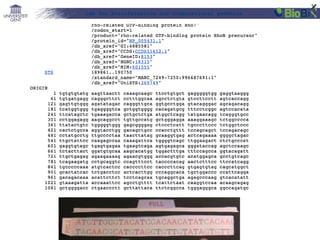 Lab for Bioinformatics and computational genomics

 