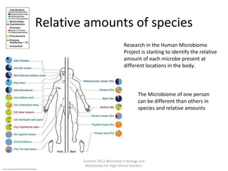 Relative amounts of species
Research in the Human Microbiome
Project is starting to identify the relative
amount of each microbe present at
different locations in the body.

The Microbiome of one person
can be different than others in
species and relative amounts

Summer 2012 Workshop in Biology and
Multimedia for High School Teachers
http://en.wikipedia.org/wiki/File:Skin_Microbiome20169-300.jpg

 