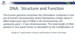 Lab for Bioinformatics and computational genomics

DNA: Structure and Function
The human genome comprises the information contained in one
set of human chromosomes which themselves contain about 3
billion base pairs (bp) of DNA in 46 chromosomes (22
autosome pairs + 2 sex chromosomes). The total length of DNA
present in one adult human is calculated by the multiplication of
(length of 1 bp)(number of bp per cell)(number of cells in the body)

 