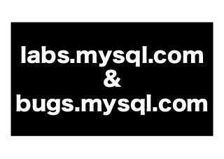 labs.mysql.com
&
bugs.mysql.com

 