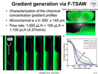 12/18
Gradient generation via F-TSAW
? Characterization of the chemical
concentration gradient profiles
? Microchannel w x h: 500 x 140 ?m
? Flow rate: 1,000 ?L/h + 100 ?L/h =
1,100 ?L/h (4.37mm/s)
<Destgeer et al., Submitted>
Owls eyes vortices for gradient generation
 