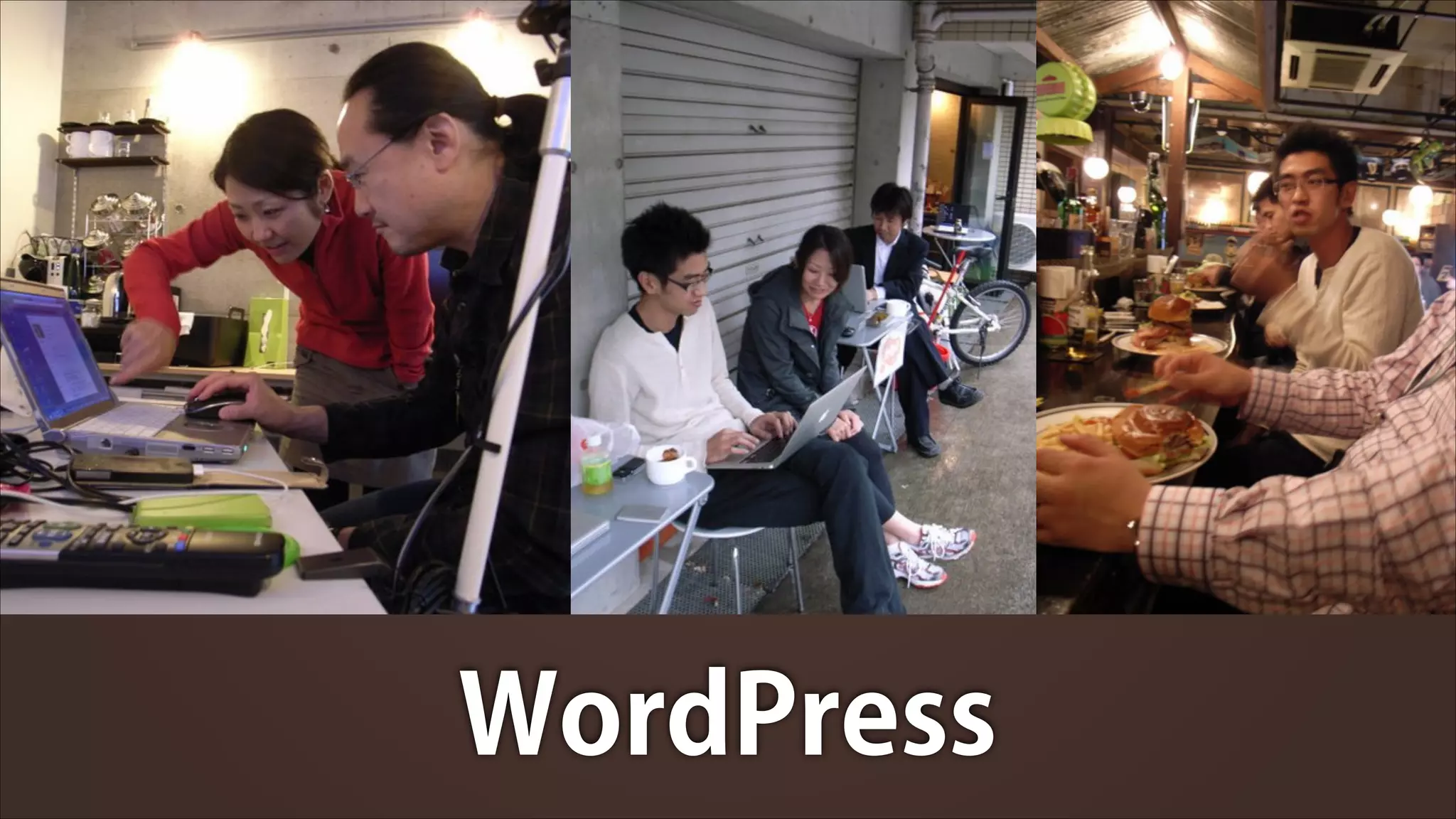 WordPress

 