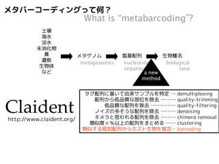 生物の分類は階層的に体系化されている 
Biological taxonomy is hierarchically systematized 
 