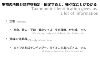 より下位の階層まで同じ分類群は、より似ている 
Organisms which belong same lower taxa 
are more similar 
● 既知生物に似ているほど下位の階層まで同定可能 
An organism which is more similar to known organisms 
is identifiable to lower taxa 
● より下位の階層（種とか）まで同定できるとより詳細にわかる 
Lower taxonomic information provides 
more detailed ecological information 
 