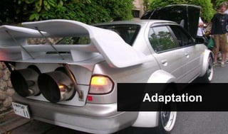 Adaptation
 