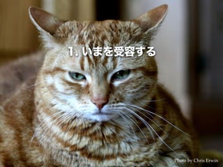 1. いまを受容する
Photo by Chris Erwin
 