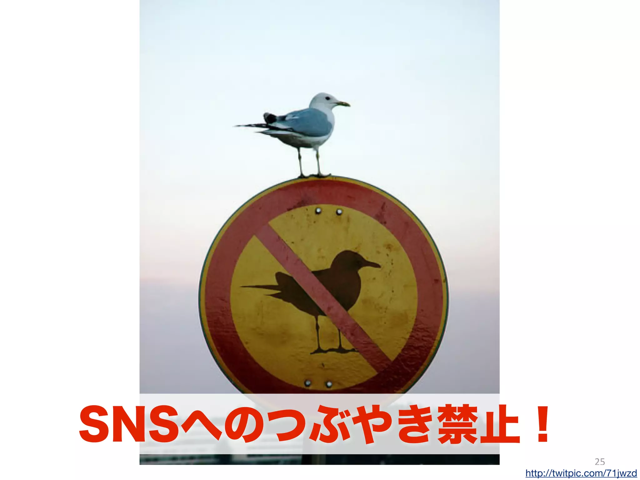 25
http://twitpic.com/71jwzd
SNSへのつぶやき禁止！
 