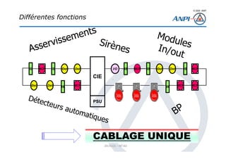 © 2008– ANPI
20131121 – NT162
Différentes fonctions
IS
MCP
Det
MCP
CIE
PSU
Det Det
Det MCP
IS
IS
IS
MCP
Det Det MCP
IS
IS
IS
CABLAGE UNIQUE
MCP
I/O
 