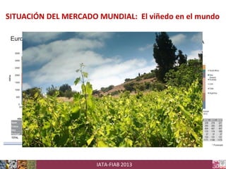 SITUACIÓN DEL MERCADO MUNDIAL: El viñedo en el mundo

IATA-FIAB 2013

 