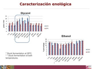 Caracterización enológica

*
*
*

* Stuck fermentation at 28ºC.
* * Stuck fermentation at both
temperatures.
*
*
*

27/5/2011

 