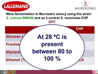 Wine fermentation in Murviedro winery using the strain
S. uvarum BMV58 and as a control S. cerevisiae CHP
28ºC
BMV58
Glucose (g/L)

0
At 28 ºC is
Fructose (g/L)
1,7
present
Glycerol (g/L)between 80 to
11,87
100 %
Ethanol (%)
13,4

CHP
0
0
9,92
14,0

 