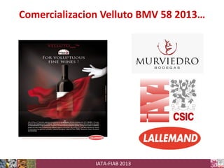 Comercializacion Velluto BMV 58 2013…

IATA-FIAB 2013

 