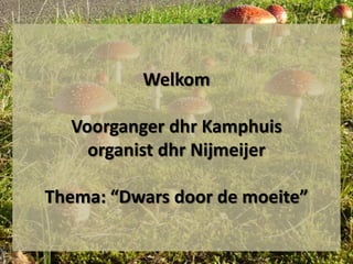 Welkom

Voorganger dhr Kamphuis
organist dhr Nijmeijer
Thema: “Dwars door de moeite”

 