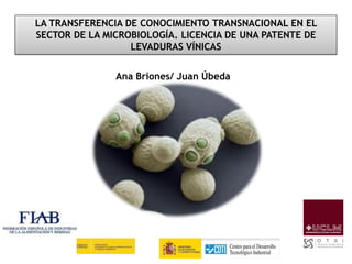 LA TRANSFERENCIA DE CONOCIMIENTO TRANSNACIONAL EN EL
SECTOR DE LA MICROBIOLOGÍA. LICENCIA DE UNA PATENTE DE
LEVADURAS VÍNICAS
Ana Briones/ Juan Úbeda

 