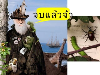 จบแล้ว จ้า

 