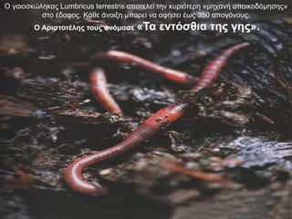 Ο γαιοσκώληκας Lumbricus terrestris αποτελεί την κυριότερη «μηχανή αποικοδόμησης»
στο έδαφος. Κάθε άνοιξη μπορεί να αφήσει έως 350 απογόνους.
Ο Αριστοτέλης τους ονόμασε «Τα

εντόσθια της γης».

 