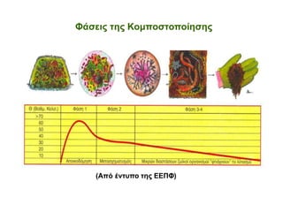 Φάσεις της Κομποστοποίησης

(Από έντυπο της ΕΕΠΦ)
(Έντυπο της Ε.Ε.Π.Φ.)

 
