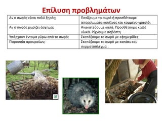 Επίλυση προβλημάτων
Αν ο σωρός είναι πολύ ξηρός;
Αν ο σωρός μυρίζει άσχημα;
Υπάρχουν έντομα γύρω από το σωρό;
Παρουσία αρουραίων;

Ποτίζουμε το σωρό ή προσθέτουμε
απορρίμματα κουζίνας και κομμένο γρασίδι
Ανακατεύουμε καλά. Προσθέτουμε καφέ
υλικά. Ρίχνουμε ασβέστη
Σκεπάζουμε το σωρό με εφημερίδες
Σκεπάζουμε το σωρό με καπάκι και
συρματόπλεγμα .

 