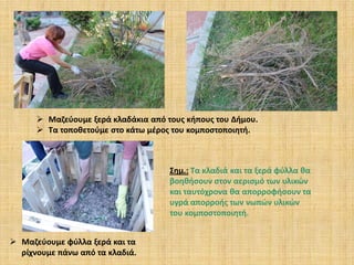  Μαζεύουμε ξερά κλαδάκια από τους κήπους του Δήμου.
 Τα τοποθετούμε στο κάτω μέρος του κομποστοποιητή.

Σημ.: Τα κλαδιά και τα ξερά φύλλα θα
βοηθήσουν στον αερισμό των υλικών
και ταυτόχρονα θα απορροφήσουν τα
υγρά απορροής των νωπών υλικών
του κομποστοποιητή.
 Μαζεύουμε φύλλα ξερά και τα
ρίχνουμε πάνω από τα κλαδιά.

 