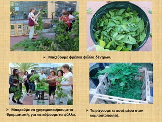  Μαζεύουμε φρέσκα φύλλα δέντρων.

 Μπορούμε να χρησιμοποιήσουμε το
θρυμματιστή, για να κόψουμε τα φύλλα.

 Τα ρίχνουμε κι αυτά μέσα στον
κομποστοποιητή.

 