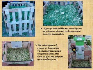  Ρίχνουμε πάλι φύλλα και μπορούμε να
μετρήσουμε τώρα και τη θερμοκρασία
που έχει αναπτυχθεί.

 Με το θρυμματιστή
έχουμε τη δυνατότητα
να δημιουργούμε μικρά
κομμάτια υλικών, έτσι
ώστε να γίνει πιο γρήγορα
η αποσύνθεσή τους.

 