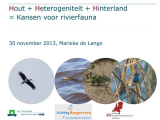Hout + Heterogeniteit + Hinterland
= Kansen voor rivierfauna

30 november 2013, Marieke de Lange

 