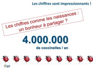 Les chiffres sont impressionnants !

4.000.000
de coccinelles / an

 
