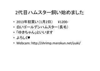 2Ŀϥॹ`ʼޤ	
??
??
??
??
??

2013I12գ?1200-?\	
 ?
פ`ǥϥॹ`Lë	
 ?
椭󡹤Ȥޤ	
 ?
?	
 ?
Webcam:	
 ?hDp://shrimp.marokun.net/yuki/	

 