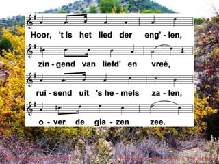 Veilig in Jezus’armen (EL 191)

t. F. Crosby; m. W.H. Doane; v. Joh. de Heer

 