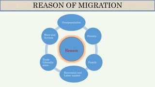 REASON OF MIGRATION
Reason
Overpopulation
Poverty
Family
Economics and
Labor market
Trade
Liberaliz
ation
Wars and
Asylum
 